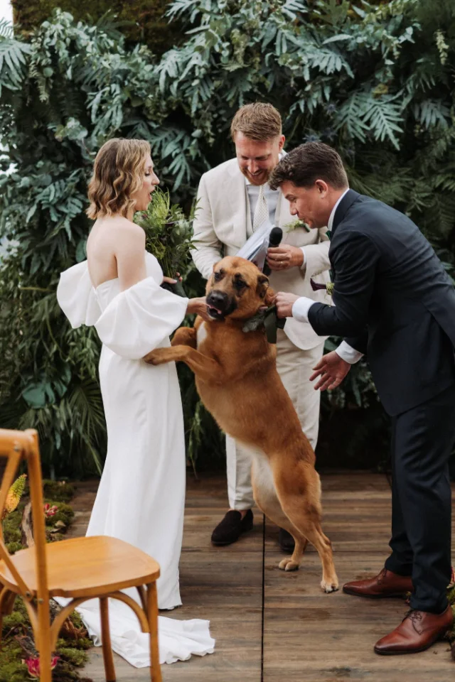 Wedding Details, Wedding planner, fotografia 9