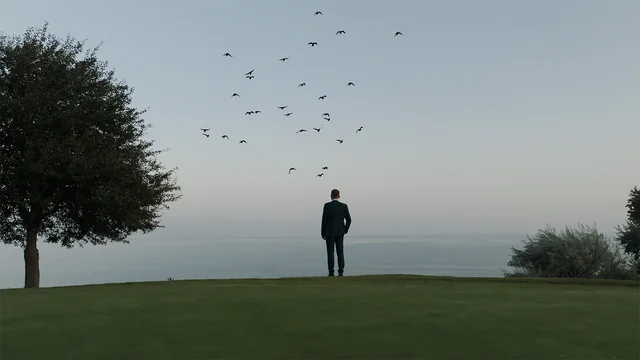 Marius Sfetea, Videograf, fotografia 8
