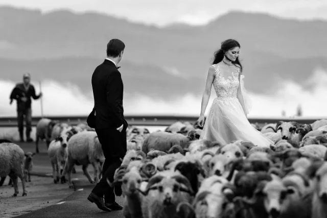 Marian Sterea, Fotograf, fotografia 9