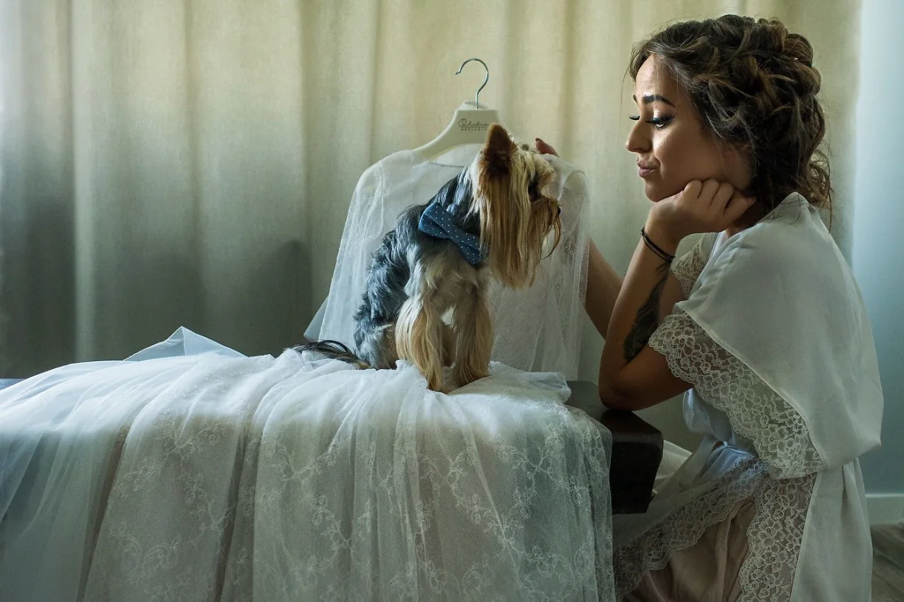 Marian Sterea, Fotograf, fotografia 3