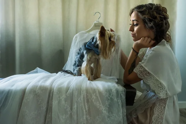 Marian Sterea, Fotograf, fotografia 3