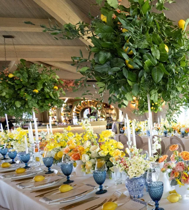 Casa Timiș Wellness & Spa Resort, Locație de eveniment, fotografia 6