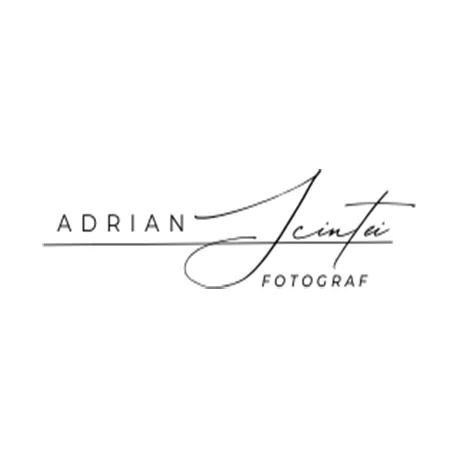 Adrian Scînteie, logo