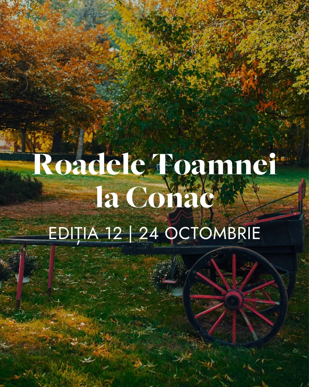 Domeniul Manasia, Locație de eveniment, fotografia 5