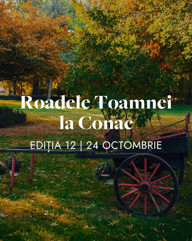 Domeniul Manasia, Locație de eveniment, fotografia 5