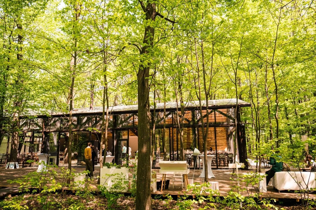 TreeHouse, Cosoba