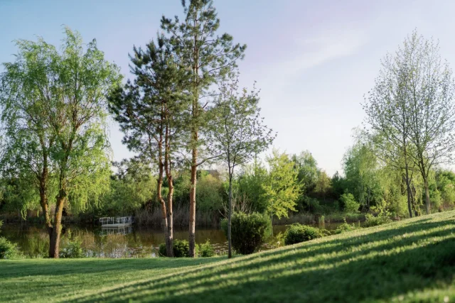 Lagoo Snagov, Locație de eveniment, fotografia 5