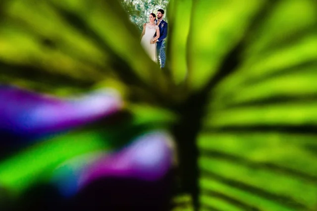 Alexandru Grigore, Fotograf, fotografia 7